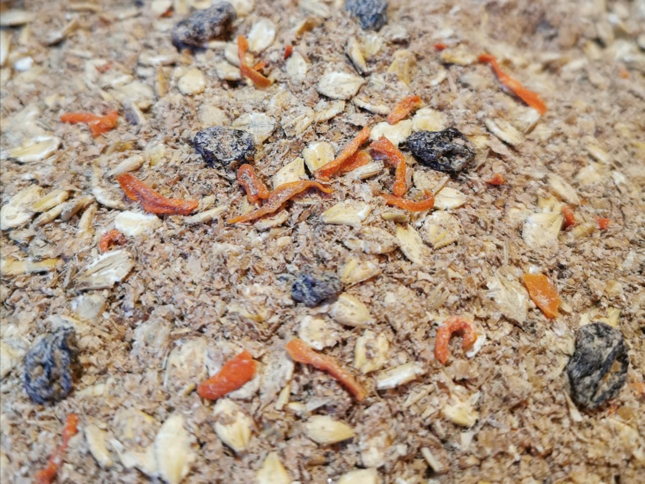 nashakasha